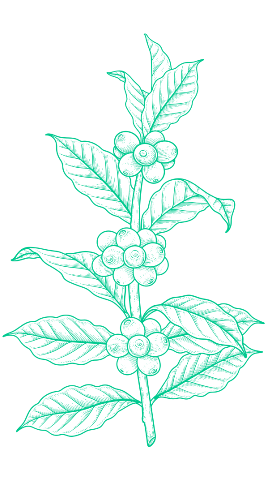 Contato Verde Agritech
